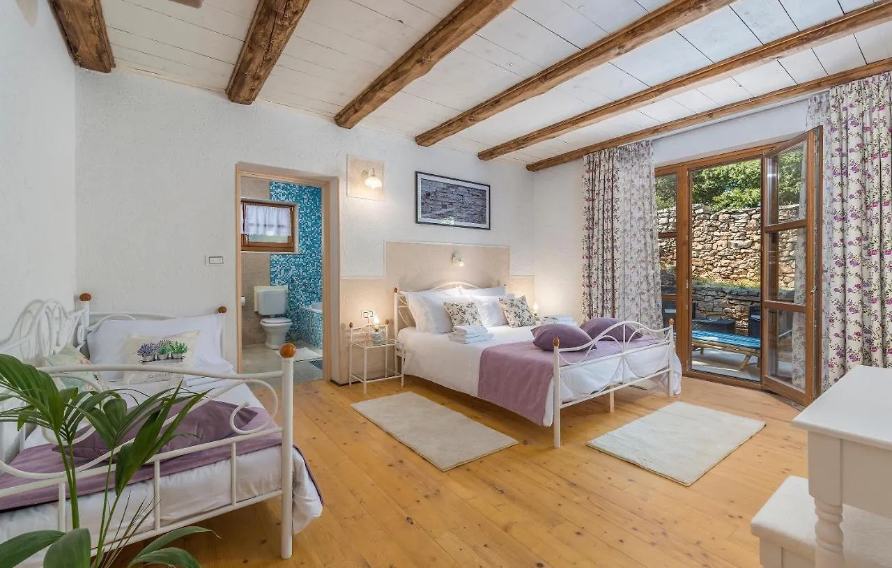 Family Villa Lipica With Private Pool And Jacuzzi 帕津 克罗地亚